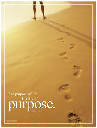 purpose1